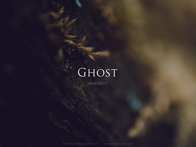 Ghost