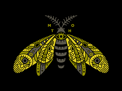Moth design digital art drawing illustration insect moth
