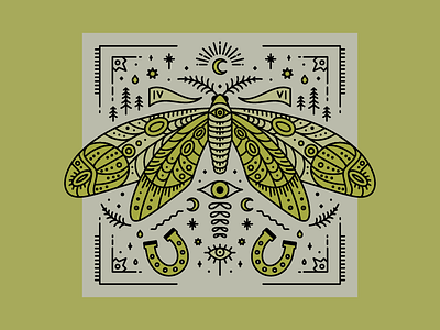 Nite Moth design digital art drawing illustration insect line work moth