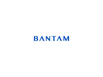 Bantam Network brand identity branding identity logo logo design logotype type typography wordmark