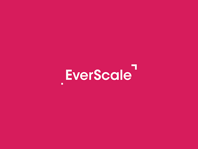 Everscale brand identity branding design identity logo logo design symbol type typography wordmark