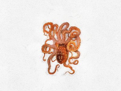 Octopus art digital illustration octopus paint painting poster print sea