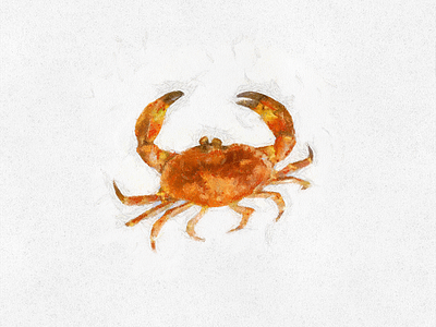 Crab art crab digital illustration paint painting poster print sea