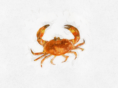 Crab