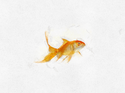 Goldfish art digital fish goldfish illustration paint painting poster print sea
