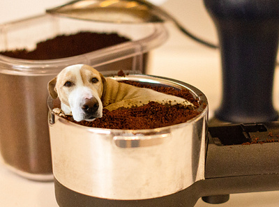 Tiny Barista dogs graphic design