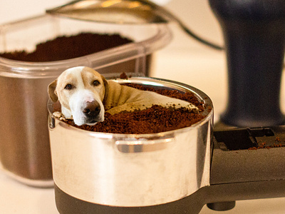 Tiny Barista