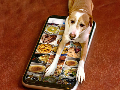 Tiny Foodie dogs graphic design photoshop