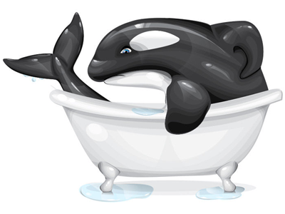 Would You Want To Spend Your Entire Life In A Bathtub? animal blackfish drawing graphic killer orca rights vector whale