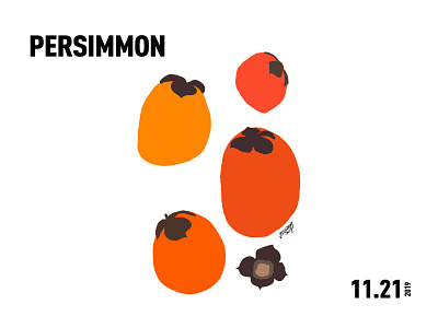 PERSIMMON colorful drawing illustration