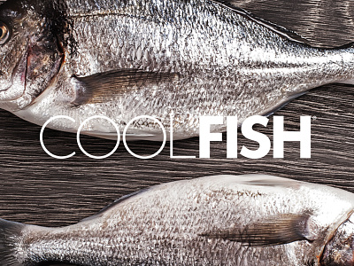 Coolfish Logo