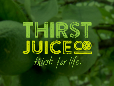 Thirst Juice Company Logo boston citrus distressed juice logo tagline type