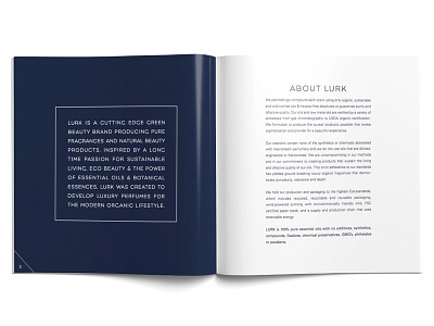 Lurk Brand Book book design brand book layout navy