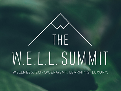 The Well Summit Logo conference logo mountain summit wellness