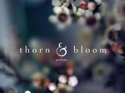 Thorn & Bloom Logo ampersand floral flowers fragrance logo perfume