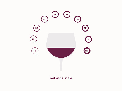 Urban Grape Red Wine Infographic branding infographic information design wine