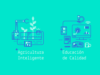 Agricultura y Educación