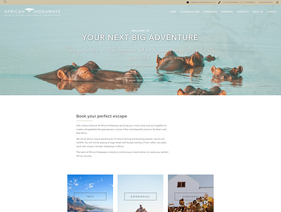 African Hideaways Website Redesign graphic design travel and tourism website design wordpress