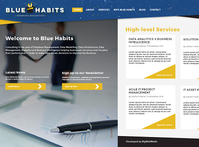Blue Habits data management data modeling website design wordpress