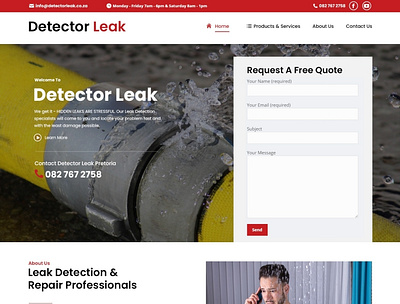 Detector Leak water leak detection water leak repairs website design wordpress