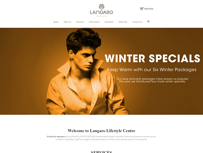 Langaro beauty spa website design wordpress