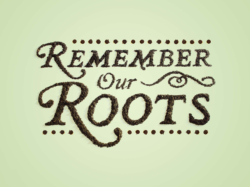 Remember Our Roots art direction typography print design graphic design