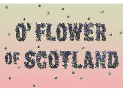 O' Flower of Scotland Typography