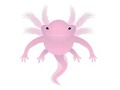 Axolotl Doodle axolotl design emilykiefer illustration logo pictoral vector