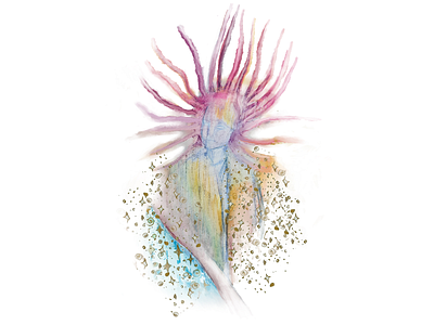 Jellyfish King! The Doodle doodle emilykiefer fun illustration jellyfish