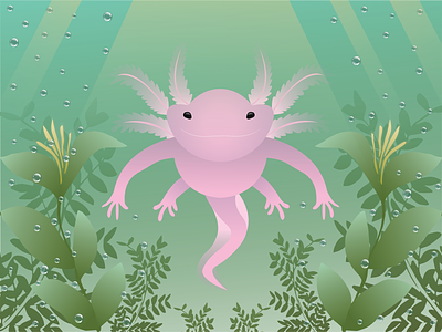 Axolotl Illustration axolotl doodle emily emilykiefer illustration illustrator kiefer nature vector wildlife