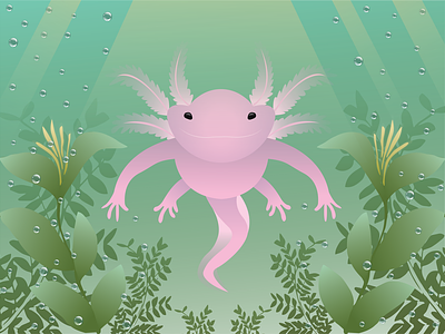 Axolotl Illustration axolotl doodle emily emilykiefer illustration illustrator kiefer nature vector wildlife