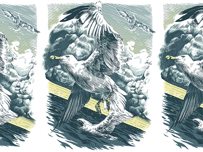 Lakeshore Gulls brushpen design drawing illustration ink photoshop seagull traditional art