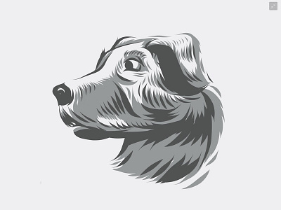 Dog Sketch adobe dog draw illustration vector