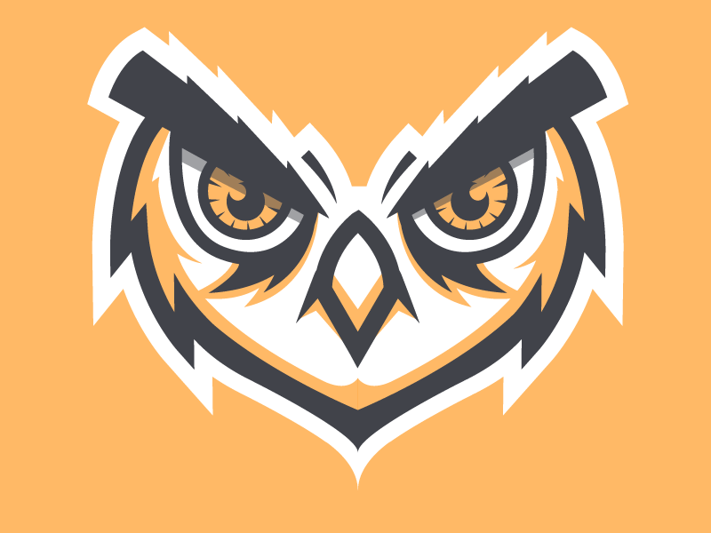 Owl Logo / Illustration by Shard on Dribbble