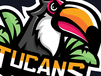 Tucan Logo / Illustration / Mascot adobe bird design esports illustration logo mascot sale sports tucan