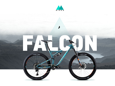 Mountain bike web site concept