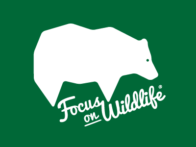 Focus on Wildlife logo proposal bear brand logo logotype script typography wildlife