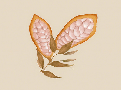 Botanical Serie 1: "Elote" art botanical branding design digitalpainting drawing graphic design illustration illustration art painting