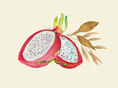 Botanical Serie 1: "Pitahaya" art botanical branding design digitalpainting drawing graphic design illustration illustration art painting