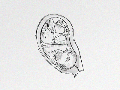 unborn baby baby drawing grey illustration lines sleeping