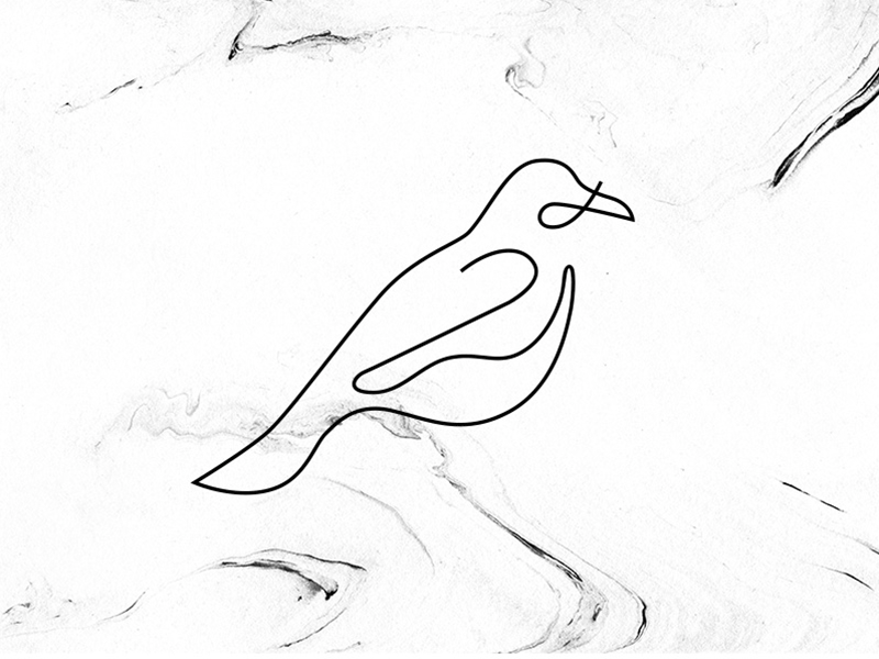 Logo Animation Raureif and animated bird black illustration line logo marble on white work