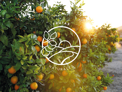 logo art work design graphic lines logo on oranges symbol tree vector white