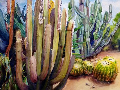 Cactus Garden cactus graden painting traditional watercolor watercolor painting