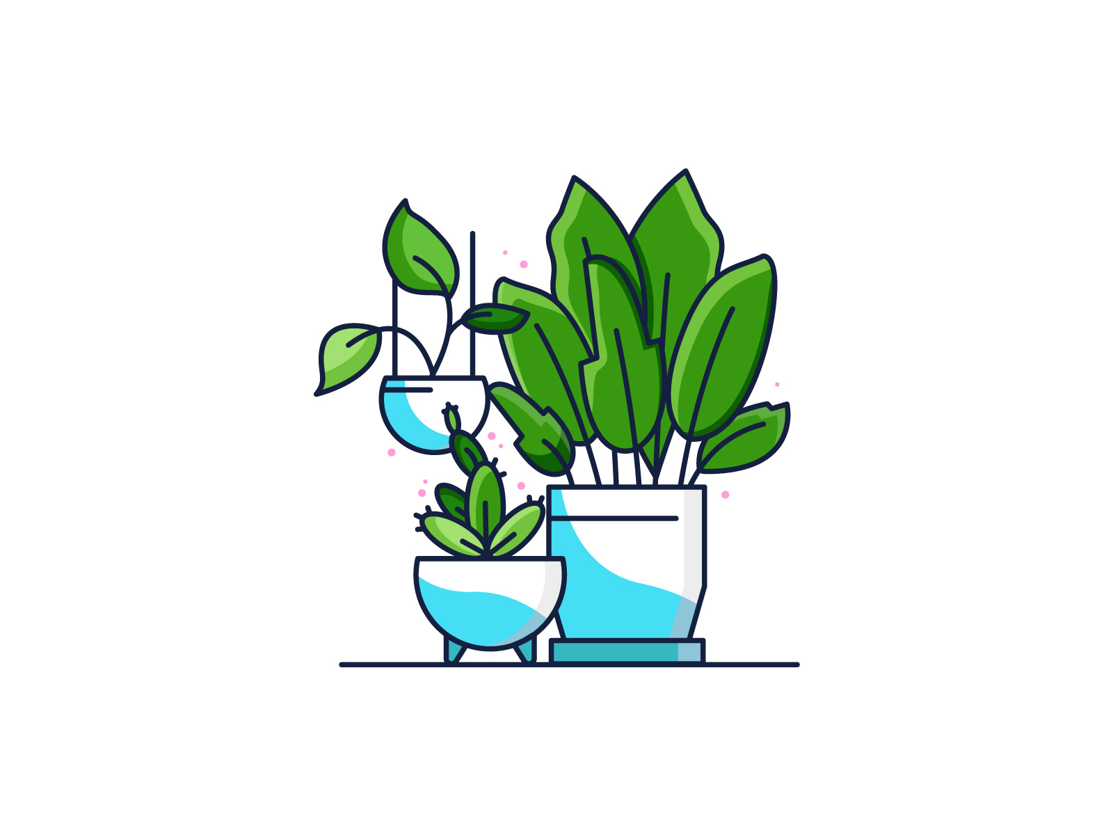 Plants by Lauren Stanley on Dribbble