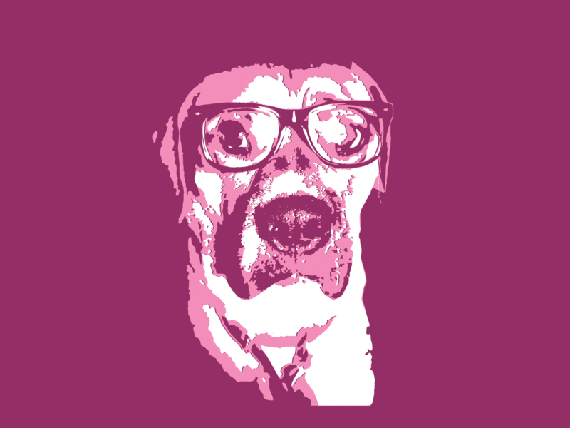 Otis Pop Art animal animation dog drawing glasses illustration pop art puppy
