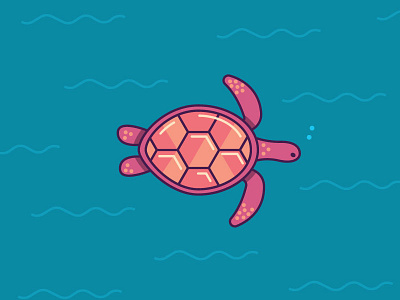 World Turtle Day Designs Themes Templates And Downloadable Graphic Elements On Dribbble