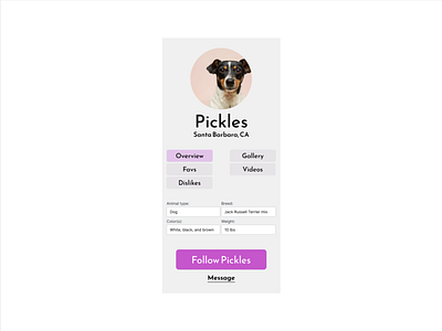 Day 6/100: User Profile app app design branding daily dailyui day 6 design dogs illustration logo profile social media social profile ui uichallenge user profile ux