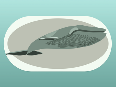 Blue whale app app design branding dailyui design illustration logo product design ui ui design uiux user interface design ux uxui vector