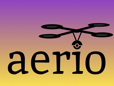 Drone Company logo