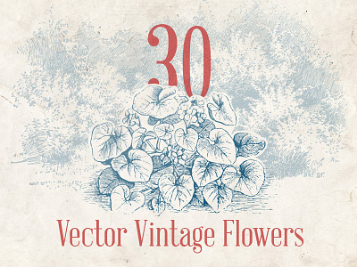 Vector Vintage Flowers